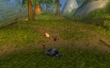 WoWScrnShot_020610_115030