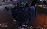 WoWScrnShot_081609_221000