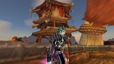 WoWScrnShot_110108_162110