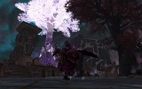 WoWScrnShot_111408_210253