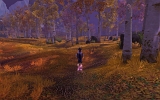 WoWScrnShot_111408_210836