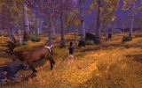 WoWScrnShot_111408_210839
