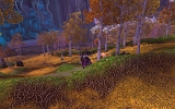 WoWScrnShot_111408_211319